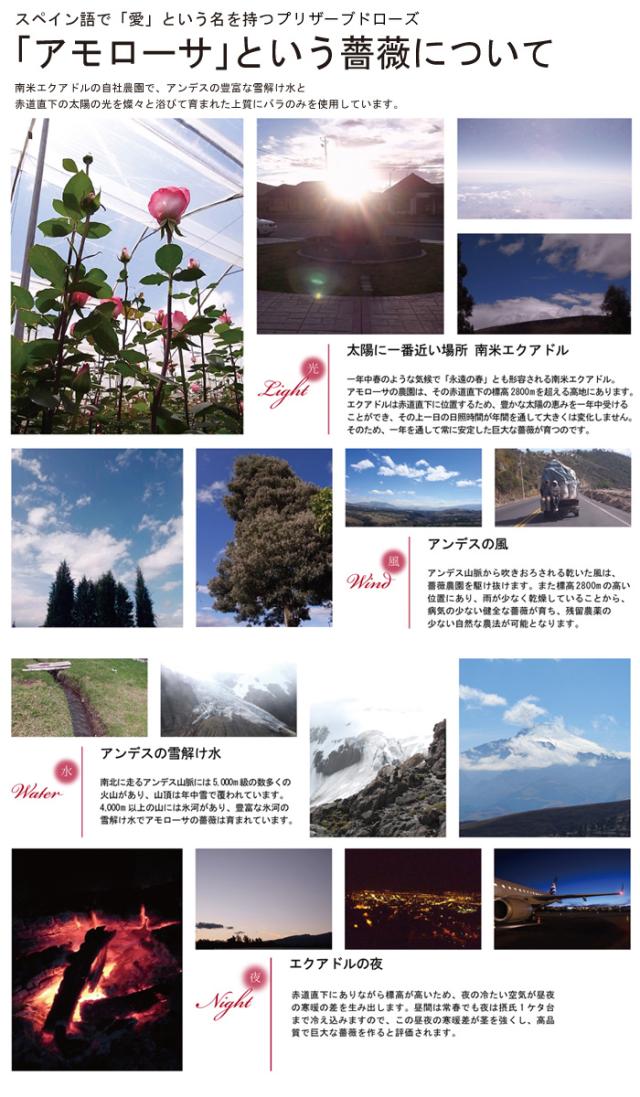 ダイヤモンド ローズ 薔薇 セット ネックレス レディース 大粒0.8カラット ネックレス プラチナー ゴールド 母の日 プレゼント 女性記念日 女性 プレゼント 彼女 嫁 娘 母 ギフトラッピング対応_8