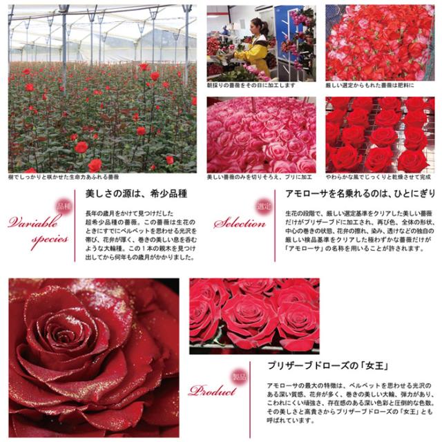 ダイヤモンド ローズ 薔薇 セット ネックレス レディース 大粒0.8カラット ネックレス プラチナー ゴールド 母の日 プレゼント 女性記念日 女性 プレゼント 彼女 嫁 娘 母 ギフトラッピング対応_9