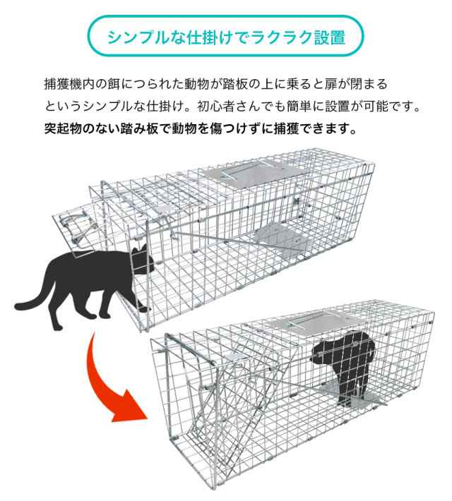 捕獲機 捕獲器 猫 犬 捕獲 Mサイズ 踏板式 迷子猫 迷子 野良 野生 動物 アニマルトラップの通販はau PAY マーケット Candy  Store au PAY マーケット－通販サイト