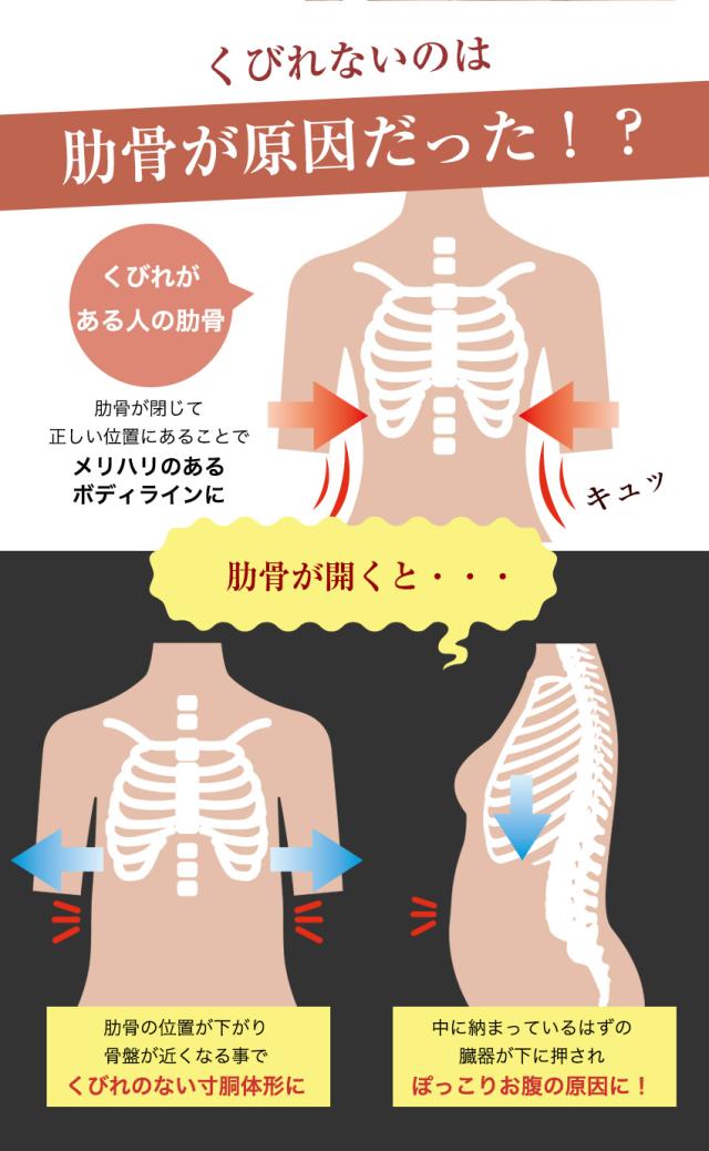 コルセット ダイエット ベルト ビスチェ くびれ ウエストニッパー ダイエット 効果 大きいサイズ 産後 腰痛 補正下着 蒸れないの通販はau Pay マーケット Candy Store
