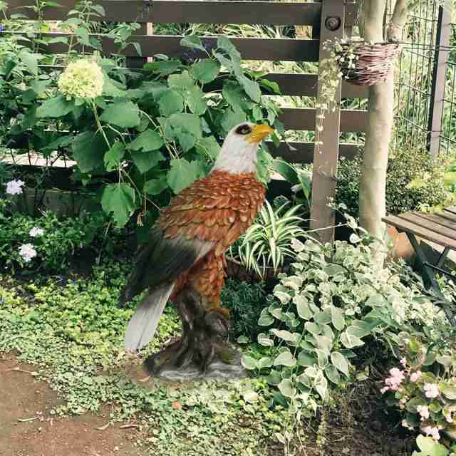 ミスターイーグル 置物 鳥害 鷹 鷲 タカ ワシ カラスやスズメなどの ...