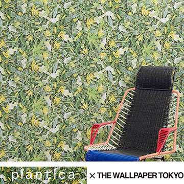 壁紙 Plantica 壁紙 The Wallpaper Tokyo 壁紙 実写 写真 自然 植物 花