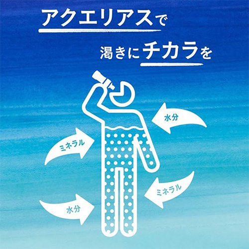 全国配送対応 送料無料 コカ・コーラ アクエリアス ハンディーパック 300g 60本 スポーツドリンク スポーツ飲料 水分補給 ミネラル coca Aquarius