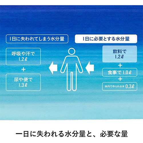全国配送対応 送料無料 コカ・コーラ アクエリアス ハンディーパック 300g 60本 スポーツドリンク スポーツ飲料 水分補給 ミネラル coca Aquarius