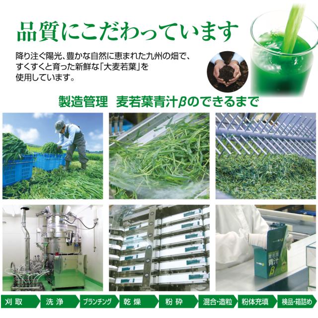 麦若葉青汁β 60包　7個組・420包　送料無料　大麦若葉　有胞子性乳酸菌　オリゴ糖　野菜末　カルシウム　野菜不足　健康食品_7