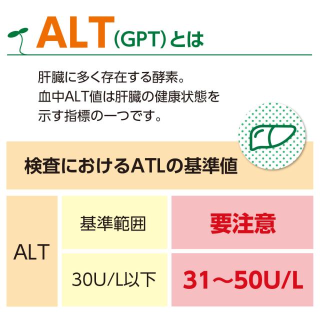 期間限定特価+1個付　送料無料　ゆうパケット配送　肝機能を示す血中ALT値を下げる 健康習肝 スルフォラファン 機能性表示食品　60粒30日分　5個組　ブロッコリースプラウト 肝臓 超硫黄分子 健康食品 サプリ_6