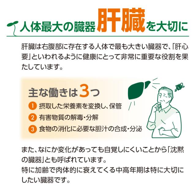 期間限定特価+1個付　送料無料　ゆうパケット配送　肝機能を示す血中ALT値を下げる 健康習肝 スルフォラファン 機能性表示食品　60粒30日分　5個組　ブロッコリースプラウト 肝臓 超硫黄分子 健康食品 サプリ_8