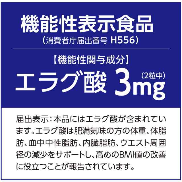 中性脂肪サポート　30日分　3個