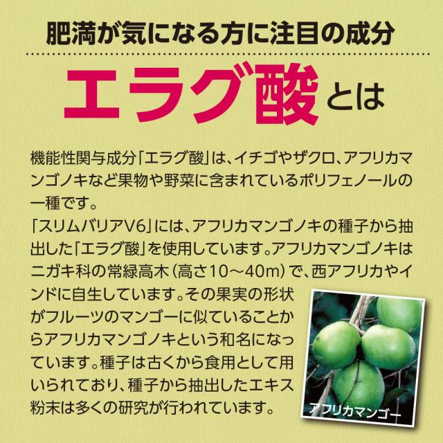 【新登場・送料無料・ゆうパケット配送】スリムバリアV6 機能性表示食品 【60粒30日分】（5個組） 体重　体脂肪　血中中性脂肪　内臓脂肪　ウエスト周囲径 エラグ酸 アフリカマンゴ ダイエット 健康食品 サプリ_4