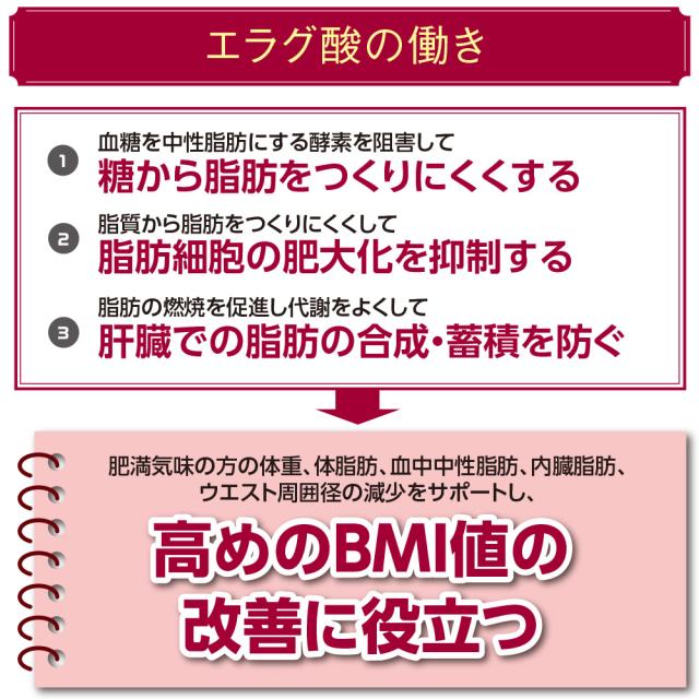 スリムフィット紅茶ダージリン 機能性表示食品 30本 30日分 5個組 送料無料　体重 体脂肪 血中中性脂肪 内臓脂肪 ウエスト周囲径 ざくろ由来エラグ酸 ザクロ オリゴ糖 ダイエット紅茶 ティー 健康食品 サプリ_5