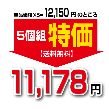 スリムフィット紅茶ダージリン 機能性表示食品 30本 30日分 5個組 送料無料　体重 体脂肪 血中中性脂肪 内臓脂肪 ウエスト周囲径 ざくろ由来エラグ酸 ザクロ オリゴ糖 ダイエット紅茶 ティー 健康食品 サプリ_1