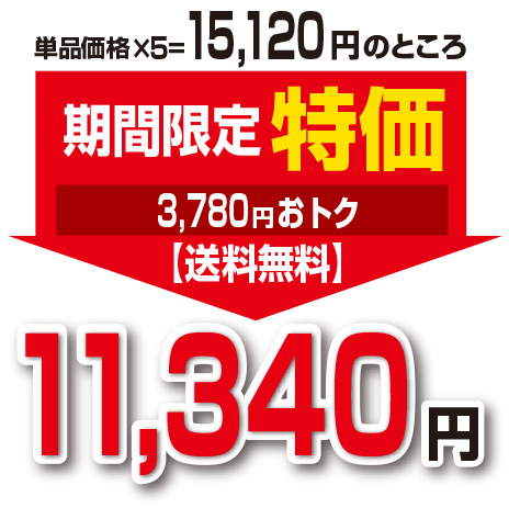 期間限定特価+1個付　送料無料　ゆうパケット配送　はつらつエクオール 30粒　30日分　5個組　大豆イソフラボン プラセンタ クコの実 ヒハツ ハトムギ エストロゲン 更年期 女性ホルモン ゆらぎ サプリ 健康食品_1