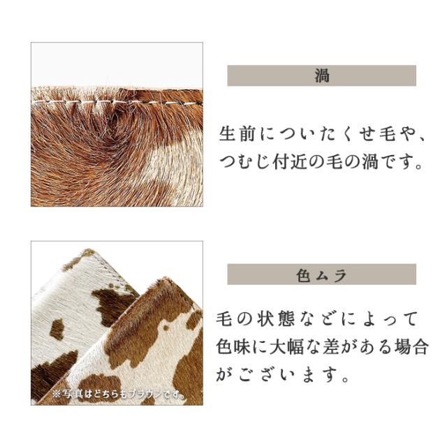 北海道産 アスパラガス 苗 株 ポールトム 1.5年培養苗／3株セット特別価格 北海道産 アスパラガス 苗 株 ポールトム 1.5年培養苗／3株セット特別価格