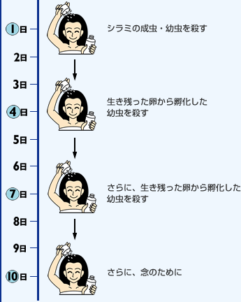 スミスリンl シャンプータイプ 80ml 専用くし付き 第2類医薬品 スミスリンシャンプー しらみ シャン の通販はau Pay マーケット 松林堂薬局 アクセット