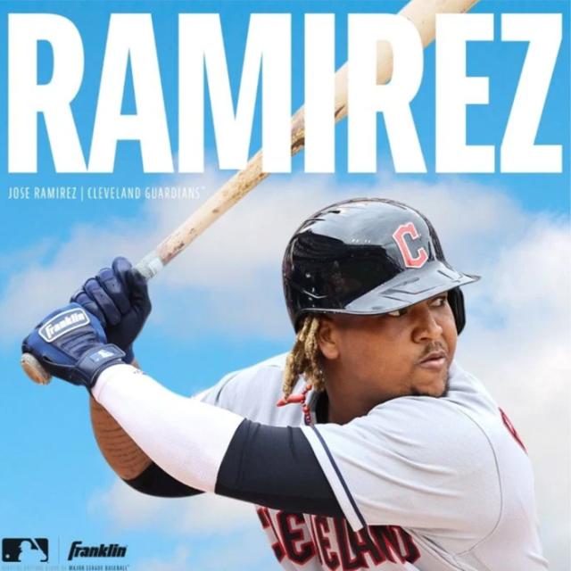 即日出荷 限定カラー フランクリン 野球用 バッティング手袋