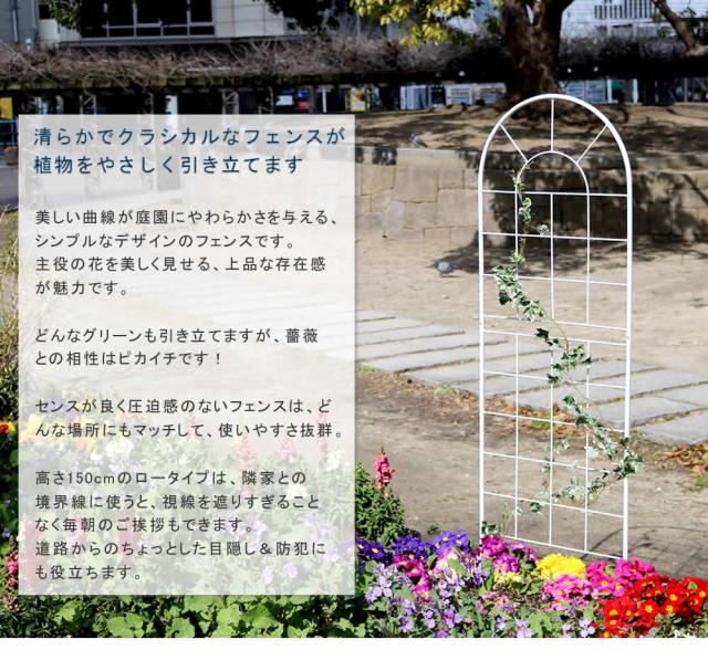 クラシックフェンス150 ロータイプ 4枚組 フェンス アイアン ガーデンフェンス ガーデニング 枠 柵 仕切り 目隠し 境目 クラシカル アンティーク トレリス ベランダ つる 薔薇 バラ 朝顔 園芸 ラティス つるバラ 庭誘引 屋外 【代引不可】_2