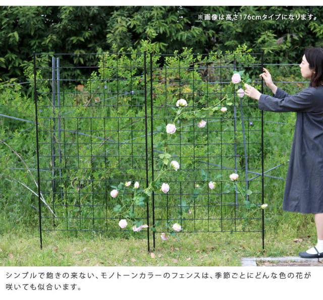 アイアンフェンス 高さ75「グラフ」4枚組 フェンス アイアン ガーデンフェンス ガーデニング 枠 柵 仕切り 目隠し 境目 クラシカル アンティーク 格子 ベランダ つる 薔薇 バラ 朝顔 園芸 ラティス つるバラ 庭誘引 屋外 【代引不可】_3