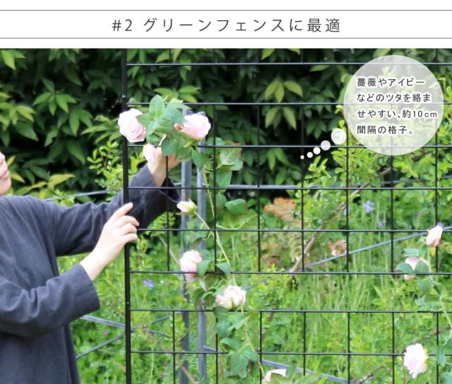 アイアンフェンス 高さ75「グラフ」4枚組 フェンス アイアン ガーデンフェンス ガーデニング 枠 柵 仕切り 目隠し 境目 クラシカル アンティーク 格子 ベランダ つる 薔薇 バラ 朝顔 園芸 ラティス つるバラ 庭誘引 屋外 【代引不可】_5
