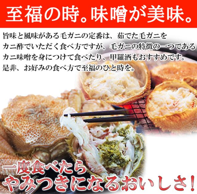 毛がに 400g×2尾 北海道産ボイル毛ガニ 400g×2尾 茹でたて 濃厚 味わい 北海道産 国産 日本産 蟹 カニ かに 海鮮 海の幸 魚介_4