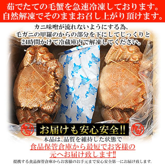 毛がに 400g×2尾 北海道産ボイル毛ガニ 400g×2尾 茹でたて 濃厚 味わい 北海道産 国産 日本産 蟹 カニ かに 海鮮 海の幸 魚介_5