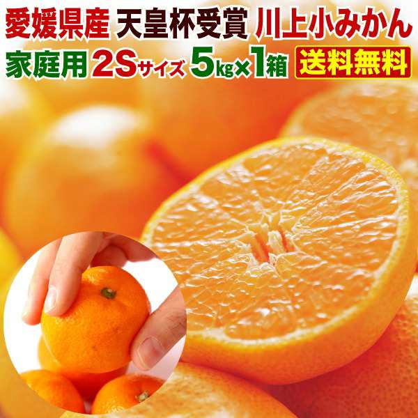 早期予約 みかん 送料無料 訳あり 5kg 小玉 愛媛 家庭用 極早生 早生 JAにしうわ川上共選 天皇杯受賞 川上小玉 小蜜柑 2Sサイズ 稀少品  の通販はau PAY マーケット - くいしんぼうグルメ便