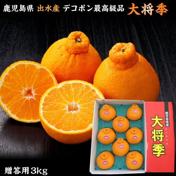 ギフト デコポン 大将季（だいまさき） 不知火 秀品 贈答用 3kg 送料無料 Y常の通販は