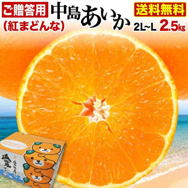 送料無料　産の通販はau　愛媛県中島産　みかん　早期予約　2L・L玉×2.5kg　くいしんぼうグルメ便　マーケット－通販サイト　中島あいか　PAY　お歳暮　御歳暮　12月発送　愛媛みかん　au　青秀クラス　ギフト　マーケット　贈答用　PAY