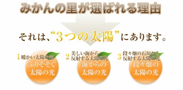 （ミカン）果物　お歳暮　の通販はau　大玉　マーケット　2Lサイズ×4kg　愛媛県産　天皇杯受賞　御歳暮　PAY　JAにしうわ川上共選　みかん　蜜柑　愛媛　マーケット－通販サイト　くいしんぼうグルメ便　ギフト　PAY　ギフト　予約開始　au