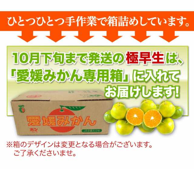 宮崎県産極早生みかん2.5キロ