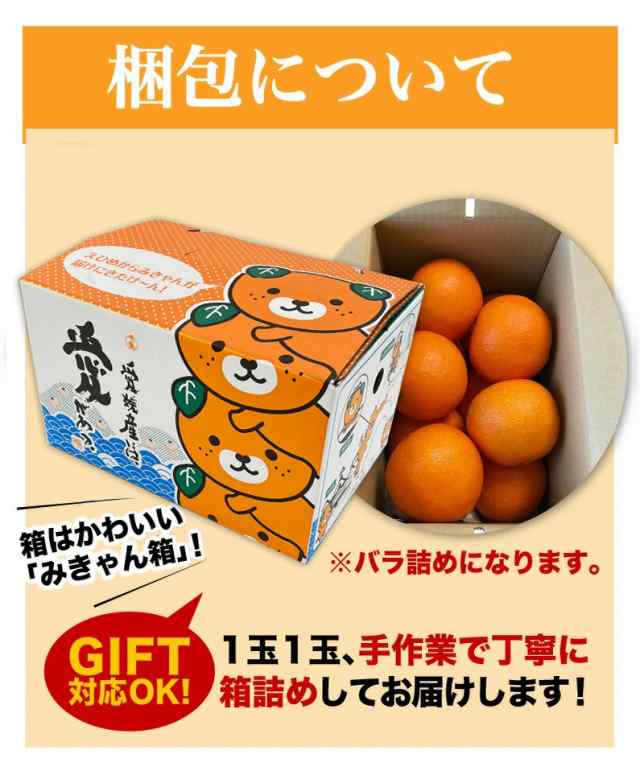 送料無料　産の通販はau　愛媛県中島産　みかん　早期予約　2L・L玉×2.5kg　くいしんぼうグルメ便　マーケット－通販サイト　中島あいか　PAY　お歳暮　御歳暮　12月発送　愛媛みかん　au　青秀クラス　ギフト　マーケット　贈答用　PAY