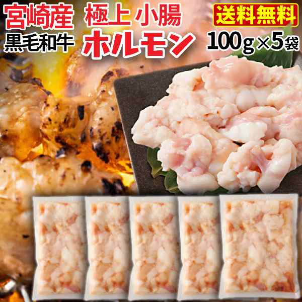ホルモン 牛 博多 和牛小腸 九州産黒毛和牛 500g(100g x5袋) コプチャン モツ鍋 焼肉 炭火焼き クール 通販 