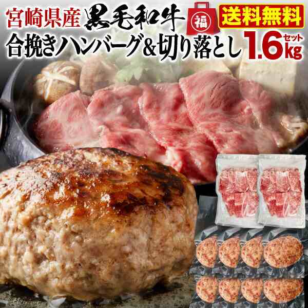 宮崎県産 黒毛和牛の合挽きハンバーグ＆切り落としスライス くいしんぼう肉の福袋 1.6kgセット 送料無料 クール