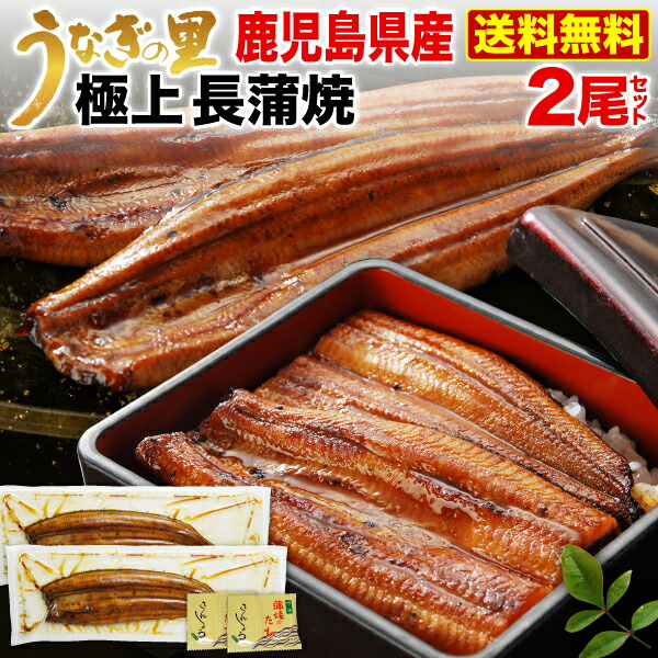 ギフト うなぎ 蒲焼き 国産 プレゼント 鹿児島産 ブランド鰻 極上長蒲焼き2本 ギフトBOX グルメ 送料無料 クールの通販は