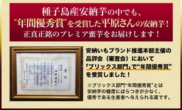 予約開始 早割 ギフト さつまいも 安納芋 あんのういも 鹿児島 種子島産 安納いも 生芋 焼き芋にして冷凍保存OK 糖度40度 特Aプレミア蜜の通販はau  PAY マーケット - くいしんぼうグルメ便