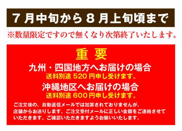 メロン お中元 青森産 アムさんメロン 秀品 1 1kg 2玉 青肉 中玉 Lサイズ ギフトの通販はau Pay マーケット くいしんぼうグルメ便