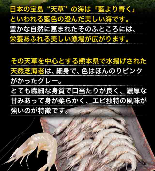 海老 冷凍 熊本県産 天然芝海老 1パック1kg(約110～140尾前後) 有頭 バラ凍結 無添加 無保水 国産 バーベキュー 冷凍 クールの通販はau  PAY マーケット - くいしんぼうグルメ便