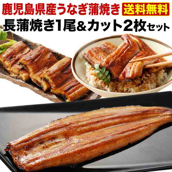 父の日 プレゼント ギフトうなぎ 食べ物 グルメ 蒲焼き 国産 鹿児島産