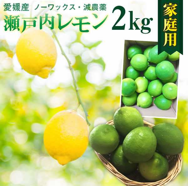 訳あり産地直送！広島県産レモン 2.5キロ 無農薬、ノーワックス、防腐剤