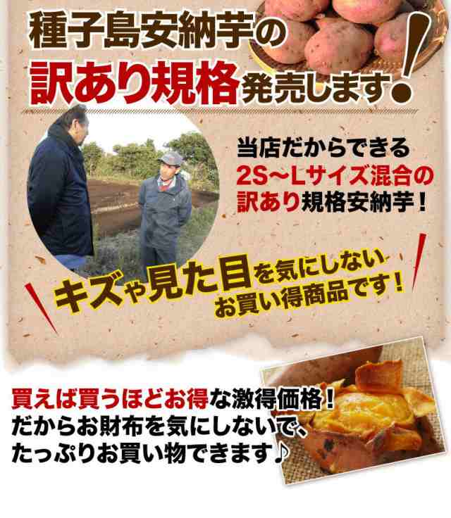 安納芋 訳あり 種子島産 安納いも 蜜芋 S～Lサイズ混合 4kg 送料無料 生芋（さつまいも） S常の通販はau PAY マーケット - くいしんぼう グルメ便