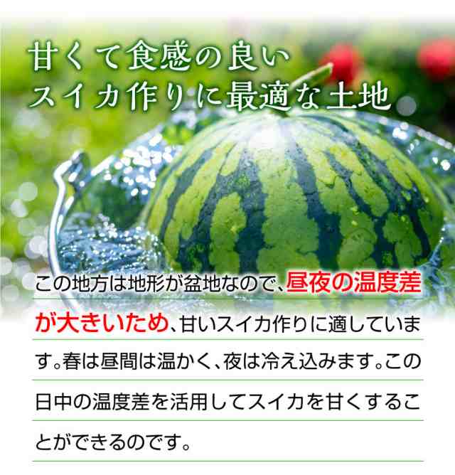 在庫処分・数量限定 熊本県産 すいか 肥後漫遊 1玉 - 通販 - anubanssk