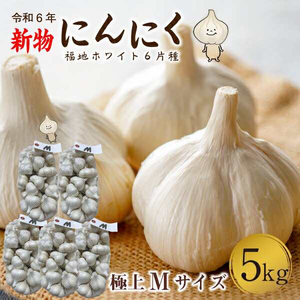 青森 にんにく5kg Mサイズ 約100玉 福地ホワイト6片 国産 ニンニク 新物 送料無料 Y常