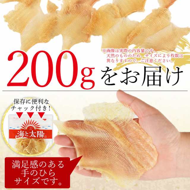 エイヒレ 100グラム2袋セット - 魚介類(加工食品)