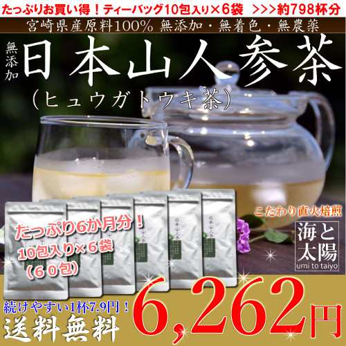 日本山人参茶（ヒュウガトウキ）×60包＞ 10包×6袋セット 1杯約7.9円