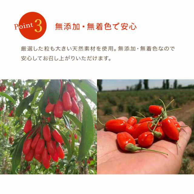 予約販売】ゴジベリー 500g クコの実 無添加 無着色 スーパーフード 美容 栄養 goji berry ドライフルーツ 枸杞の実  大容量の通販はau PAY マーケット - MOBILE GARAGE au PAY マーケット店