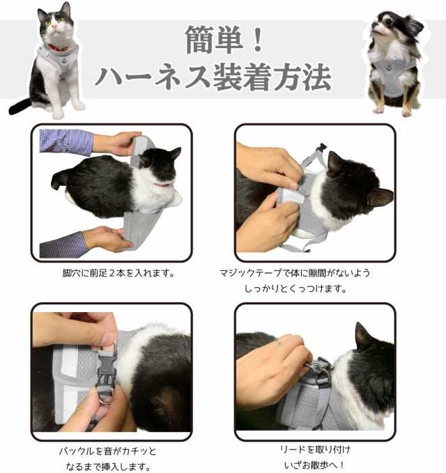 猫 ハーネス XSサイズ リード 胴輪 散歩 子猫 軽量