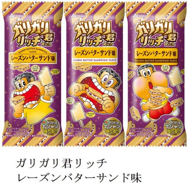 赤城乳業 アイス ガリガリ君リッチ レーズンバターサンド味 24本入 送料無料 北海道 九州は除く沖縄離島不可 の通販はau Pay マーケット Ty Frozen