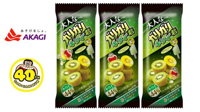 赤城乳業 大人なガリガリ君 キウイ 100ml 24袋 氷菓 アイスクリームの通販はau Pay マーケット Ty Frozen