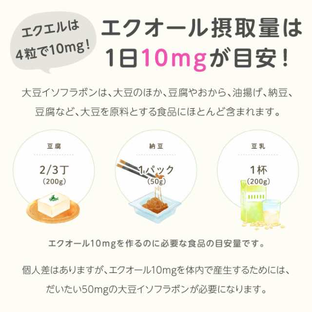 ラクマパック匿名】大塚製薬 エクエル パウチ 120粒入り2個その他 - その他