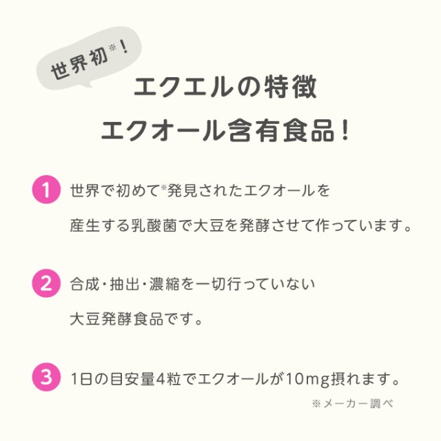 エクオール 大塚製薬 エクエル パウチ 120粒 2個 大豆イソフラボン