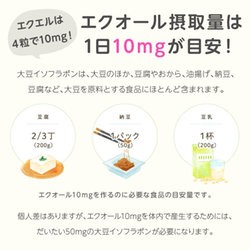 エクオール 大塚製薬 エクエル パウチ 120粒 1個 大豆イソフラボン サプリ サプリメント 正規流通ルート品 健康食品 メール便 送料無料